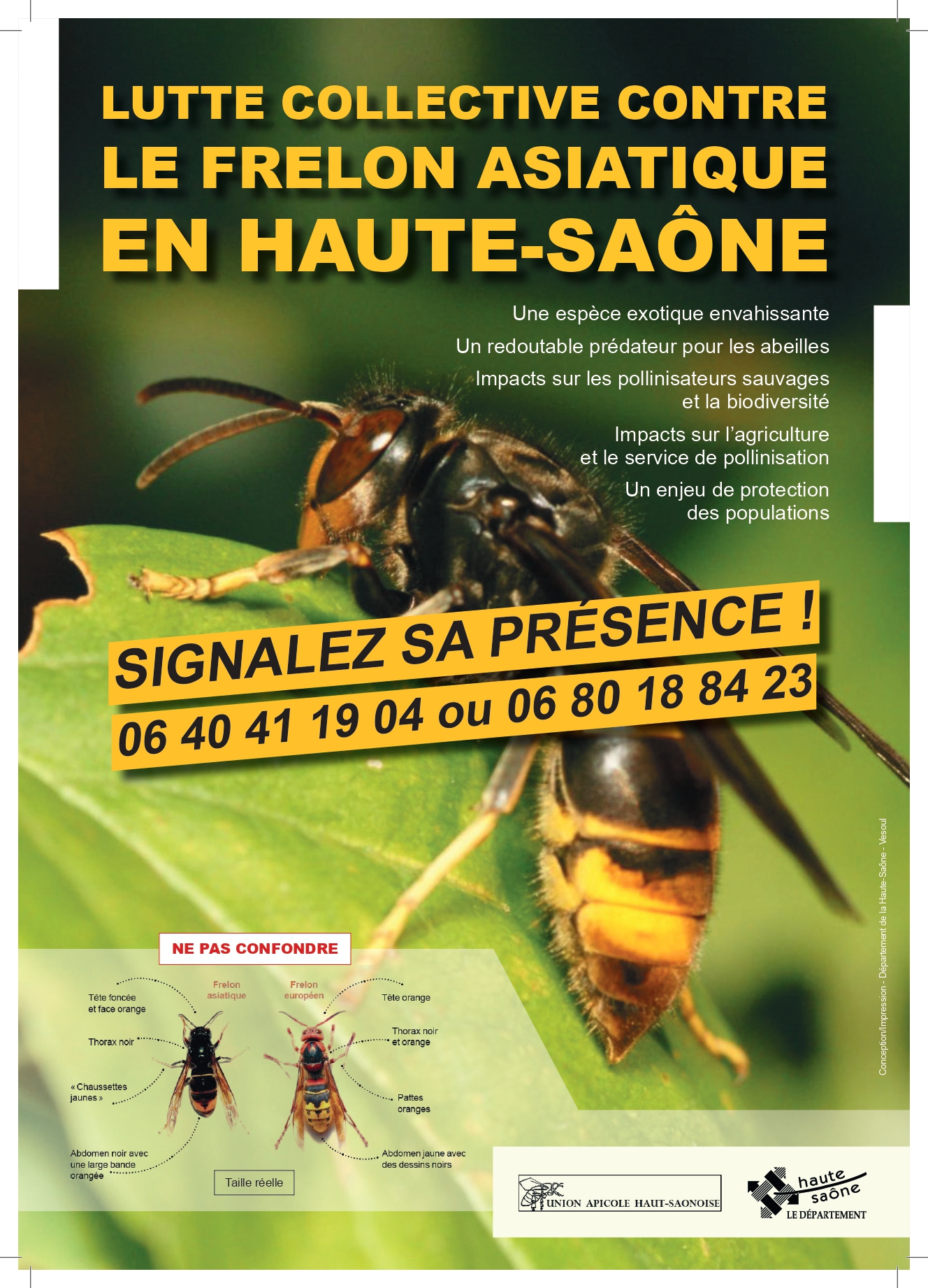 Illustration de l'actualité